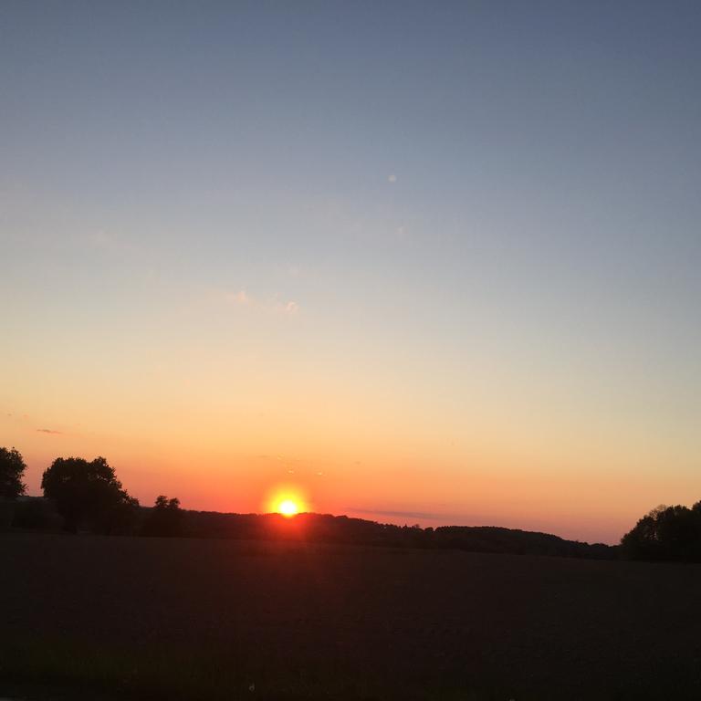Gasthof Zur Goldenen Sonne 파사우 외부 사진